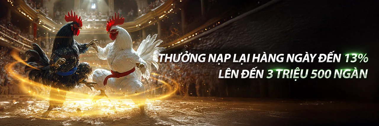 Đá Gà 888 tại 888vi - Đấu trường gà kịch tính